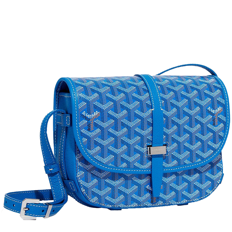 Goyard Paris Baby Blue Sidebag